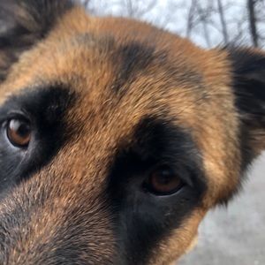 Meet your Posher, Kathleen